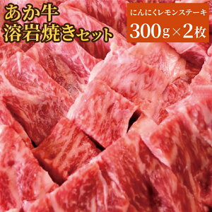 yӂ邳Ɣ[Łz hnĂZbg ɂɂXe[L 300g×2 v600g nv[gt Ӟ  K[bNXpCXt F{܂T[JX O