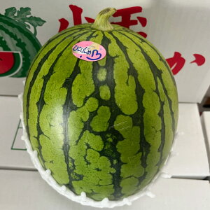 yӂ邳Ɣ[Łz   1ʓ 1.5kgȏ Z XCJ ʃXCJ ʕ  t[c  F{s F{Y Y 퉷 s\  y2026N5{`7{