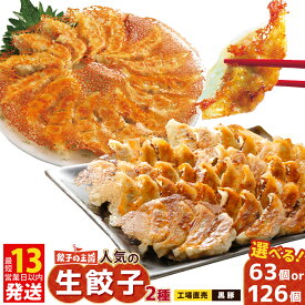 【ふるさと納税】 ＜容量 選べる＞ 餃子の王国 人気の 生餃子 2種 126個 または 63個 ぎょうざ ギョウザ 餃子 工場直売生餃子 黒豚生餃子 惣菜 お惣菜 おかず 中華 中華惣菜 点心 豚肉 肉 にく 黒豚 熊本市 冷凍 国産 送料無料