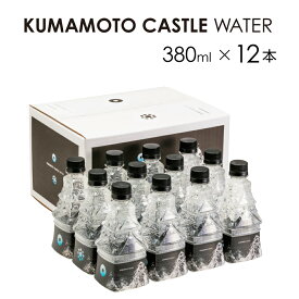 【ふるさと納税】 KUMAMOTO CASTLE WATER 380ml×12本 ドリンク ミネラルウォーター ペットボトル 天然水 飲料水 非加熱処理 熊本県 熊本市 熊本城 南阿蘇村 送料無料