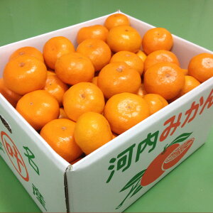 【ふるさと納税】<選べる容量> 叶果樹園みかん 家庭用 約4kg(S〜Lサイズ混合40〜60個) または 約9kg(S〜Lサイズ混合80〜100個) みかん ミカン フルーツ 果物 くだもの 家庭用 サイズ混合