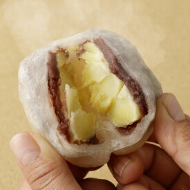 【ふるさと納税】〈選べる〉白いきなりだんご 10個 or 20個 いきなり団子 和菓子 お菓子 スイーツ 熊本名物 郷土菓子 さつまいも 芋 あんこ 冷凍 九州産 国産 送料無料