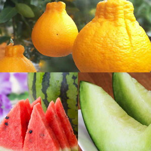 yӂ邳Ɣ[Łz F{t[c3 i3.4.5jt[c ʕ   ݂ sm 2kg A؎Y  LTCY  O[ 2 ʎ  F{s  y2