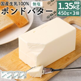 【ふるさと納税】 弘乳舎 無塩ポンドバターセット 合計1,350g 450g×3個 10000円 1万円 バター セット 食塩不使用 乳製品 九州産 国産 冷凍 送料無料