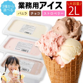 <選べる> 2L 業務用 アイス 熊本県熊本市