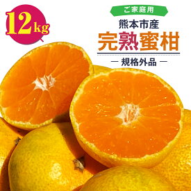 【ふるさと納税】 【規格外品】 熊本市産 完熟蜜柑 ご家庭用 12kg みかん 蜜柑 ミカン 柑橘 フルーツ 果物 くだもの 果実 訳あり 熊本市 熊本県 送料無料 【2025年9月上旬～2026年2月上旬迄発送予定】