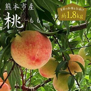 yӂ邳Ɣ[Łz F{sY  1.8kg G߂̕i͂ 12ʁ`16   t[c ʕ  ʎ ① F{s F{  y2026N5{`7{Jnz