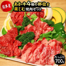 【ふるさと納税】 国産 熊本 和牛 あか牛 焼き肉 「あか牛4種のお肉を堪能する焼肉セット」 700g もも カルビ ロース 上カルビ 冷凍 プレゼント 贈り物 内祝い 送料無料