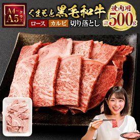 【ふるさと納税】 くまもと黒毛和牛 焼肉用 ロース カルビ 切り落とし 500g 黒毛和牛 スライス肉 牛肉 お肉 焼き肉 焼肉 A4〜A5 冷凍 熊本県 九州産 国産 送料無料