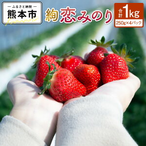 【ふるさと納税】 絢音ベリー 農園 "絢" 恋みのり いちご 約1kg (約250g×4パック)くだもの 果物 苺 イチゴ こいみのり ストロベリー ギフト 厳選 希少 熊本 熊本県産 国産 送料無料【先行予約