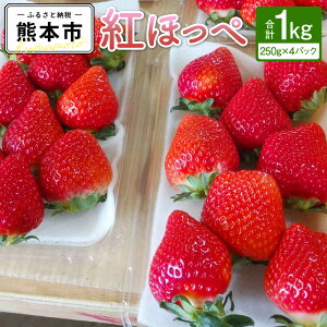 yӂ邳Ɣ[Łz x[ _ gق  1kg i250g×4pbNj  ʕ  C`S  F{  t[c Mtg I  F{Y Y  ys\zy2025