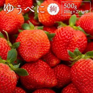 yӂ邳Ɣ[Łzyz  250g×2 v500g 䂤ׂ 䕁yx[_z F{Y Y I  t[c ʕ  C`S B F{ F{s y2026N3{`4
