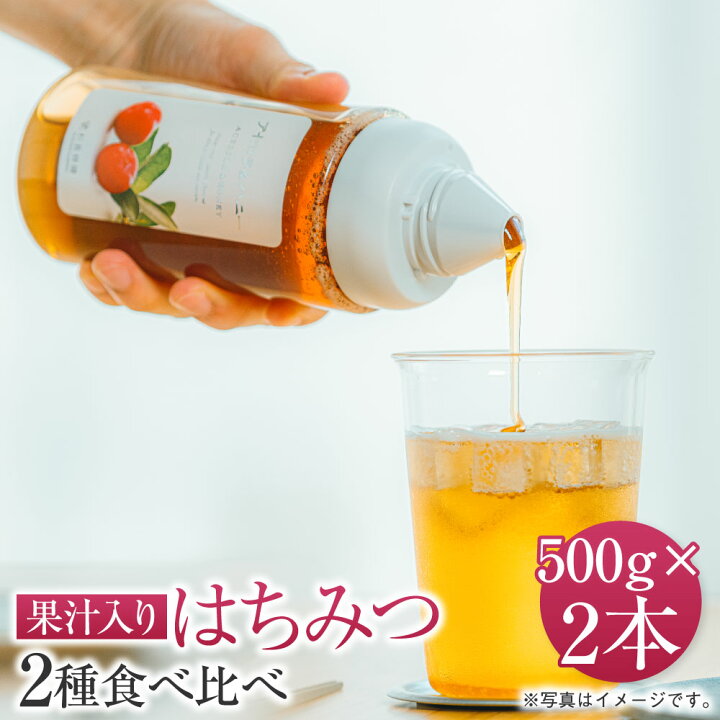 楽天市場】【ふるさと納税】 果汁入りはちみつ 500g 2種食べ比べ 合計 