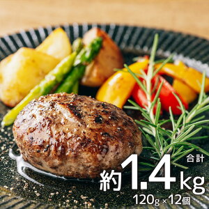 yӂ邳Ɣ[Łz 󂠂no[O no[O   oY   y Zbg v1.4kg 120g×12 F{ F{ ܂  yVX[p[SALE 9J