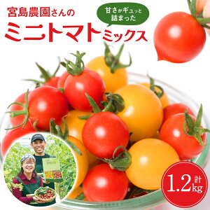 yӂ邳Ɣ[Łzys\zsY {_ ~jg}g (~bNX)1.2kg Ƃ܂  ԃg}g Fg}g y2025N12{菇z 