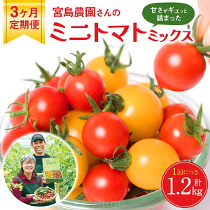 yӂ邳Ɣ[Łzys\zy3z~jg}g (~bNX) 1.2kg×3 sY {_ Ƃ܂   y2025N12{菇z