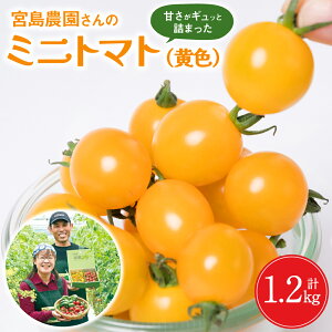 yӂ邳Ɣ[Łz ys\z ~jg}g (F) 1.2kg sY {_ g}g Â T_ Y F{Y  y2025N12{菇z