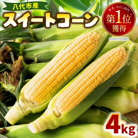 【ふるさと納税】【先行予約】熊本県八代市産 スイートコーン 4kg とうもろこし 朝採り 高糖度 期間限定 八代産 熊本県産 国産 送料無料【2024年5月上旬発送開始】