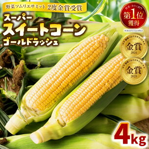 熊本県八代市産 スーパースイートコーン ゴールドラッシュ...