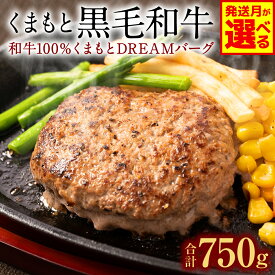 【ふるさと納税】令和8年熊本地震復興支援 くまもとDREAMバーグ 150g×5 くまもと黒毛和牛100% ハンバーグ 【選べる発送月】 黒毛和牛 おかず 惣菜 洋食 お肉 肉 牛肉 にく 冷凍 熊本県 八代市 送料無料