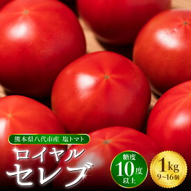 【ふるさと納税】【先行予約】 くまもと塩トマト「ロイヤルセレブ」 トマト 約1kg 糖度10度以上 厳選 希少 はちべえ トマト 塩トマト 塩とまと とまと トマト 野菜 熊本県産 八代市産 九州産 国産 贈答用 ギフト 送料無料 【2026年1月上旬より順次発送】