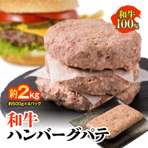yӂ邳Ɣ[Łza no[O pe 2kg 500g×4pbN Y BY a100   t ~` Ⓚ  Y B 