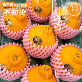 【ふるさと納税】 熊本県 八代市産 不知火 （しらぬい） 約3kg 蜜柑 ミカン みかん ポンカン 果物 フルーツ 送料無料