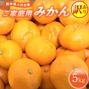 yӂ邳Ɣ[Łz ys\z y󂠂z F{sY ƒp݂5kg  k ~J t[c fU[g  y2025N9{菇z