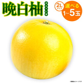 【ふるさと納税】 【選べる玉数】 晩白柚 ばんぺいゆ 2Lサイズ 1～5玉 1玉あたり約2kg 化粧箱入り 果物 くだもの フルーツ 柑橘 贈り物 期間限定 お正月飾り 柑橘の香り 爽やかな甘味 爽やかな香り 八代産 熊本県産 国産 送料無料 【2025年12月上旬より順次発送】