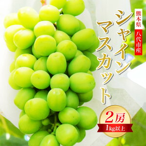 yӂ邳Ɣ[Łz ys\z F{ sY VC}XJbg 2[ 1.0kgȏ Ԃǂ t[c }XJbg { ʕ ʕ VN Mtg 蕨  y2026N8{菇z
