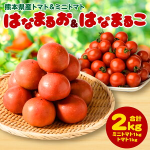 yӂ邳Ɣ[Łzys\z F{Y g}g 1kg  ~jg}g 1kg v2kg ͂Ȃ܂邨 ͂Ȃ܂邱 Ƃ܂  Yn sY v`g}g VN ʕ _Y T_ B  Y