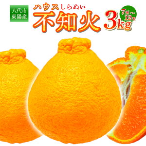 yӂ邳Ɣ[Łzys\z szY nEXsm 3kg(7ʁ`12) sm ʂ  ~J k t[c ʕ { BY F{Y  y2026N1{菇z