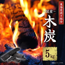 【ふるさと納税】東陽炭焼き組合 国産 木炭 5kg もくたん 樫 燃料 炭 バーベキュー BBQ 七輪 囲炉裏 薪ストーブ 熊本県 送料無料