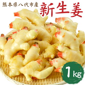 yӂ邳Ɣ[ŁzszY VI1kg 傤 傤 VN   Yi Y 
