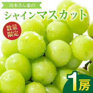 yӂ邳Ɣ[Łzys\z F{sY R{Ƃ́uVC}XJbgv 1[(500g) Ԃǂ t[c }XJbg { ʕ ʕ VN Mtg 蕨  y2026N8