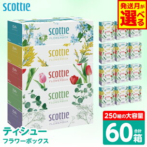 【選べる発送月】 【スコッティ】 ティシュー フラワーボ...