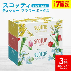 �y�ӂ邳�Ɣ[�Łz�y�X�R�b�e�B�z�e�B�V���[ �t�����[�{�b�N�X 250�g�i3���p�b�N×1�Z�b�g ���v3���j�e�B�b�V�� ���p�i �����K���i �������� �X�s�[�h���� �y7�c�Ɠ��ȓ��ɔ����z