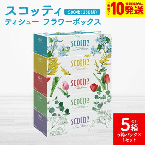 �y�ӂ邳�Ɣ[�Łz�y�X�R�b�e�B�z�e�B�V���[ �t�����[�{�b�N�X 250�g�i5���p�b�N×1�Z�b�g ���v5���j�e�B�b�V�� ���p�i �����K���i ��������