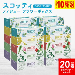 �y�ӂ邳�Ɣ[�Łz�y�X�R�b�e�B�z�e�B�V���[ �t�����[�{�b�N�X 250�g 5���p�b�N×4�Z�b�g ���v20�� �e�B�b�V�� ���p�i �����K���i ���Օi �� �܂Ƃߔ��� ���~ �h�Д��~ �f�U�C���{�b�N�X