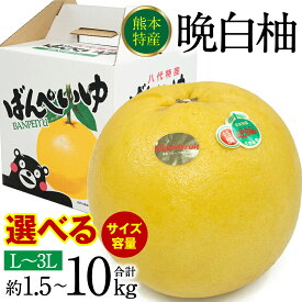 【ふるさと納税】 【先行予約】 【選べる内容量】 晩白柚 ばんぺいゆ 約1.5kg～10kg 果物 くだもの フルーツ 柑橘 贈り物 八代産 熊本県産 国産 送料無料 【2024年12月中旬より順次発送】