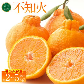 【ふるさと納税】不知火（デコポンと同品種） 約2kg～約5kg 【選べる内容量】 しらぬい でこみかん 柑橘 ミカン ポンカン くだもの 果物 フルーツ 送料無料