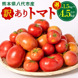 【ふるさと納税】【先行予約】＼ めざましテレビで紹介されました ／ 【訳あり】 八代市産 トマト 約1.5kg ～ 約4.5kg 【選べる内容量】 特産品 規格外 トマト 野菜 やさい とまと ご家庭用 産地直送 九州 熊本県 八代市 順次発送 送料無料 【2026年4月中旬より順次発送】