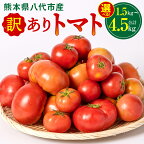  【選べる内容量】 訳あり トマト 1.5kg ～ 4.5kg 熊本県 八代市 特産品 規格外 トマト 野菜 やさい 新鮮 とまと ご家庭用 まとめ買い 産地直送 九州産 熊本県産 八代市産 送料無料 【発送時期が選べる】