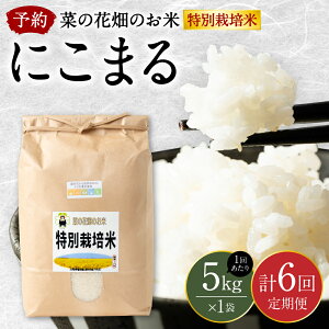 yӂ邳Ɣ[Łz ys\z y6ցzsߘa7NYt؂̉Ԕ̂ uʍ͔|āvv30kg i5kg×6j ɂ܂    Y  ͂  y2025N12{菇