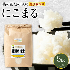 �y�ӂ邳�Ɣ[�Łz�y�ߘa7�N�Y�z �؂̉Ԕ��̂��� �u���ʍ͔|�āv 5kg �i5kg×1�܁j �ɂ��܂� �� ���� ���� ���� ���͂� ���� �F�{ ��������