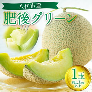 yӂ邳Ɣ[Łzys\z O[  1 i1.3kgȏj sY F{ ʕ  t[c    y2026N6{菇z