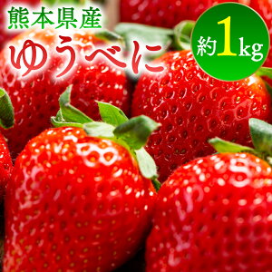 yӂ邳Ɣ[Łzys\z䂤ׂɂ@1kg ʕ  { W G߂̉ʕ y2026N2{菇z