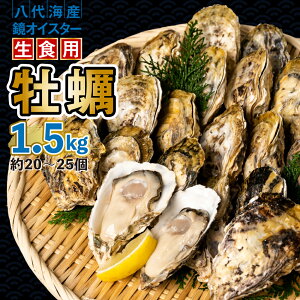 yӂ邳Ɣ[Łzys\z y ICX^[ Hp 1.5kg ICX^[  VN ܂ BBQ  y2025N12{菇z