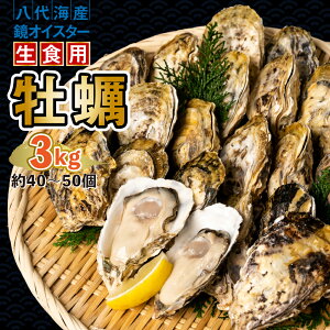 yӂ邳Ɣ[Łzys\z y ICX^[ Hp 3kg ICX^[  VN ܂ BBQ  y2025N12{菇z