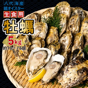 yӂ邳Ɣ[Łzys\z y ICX^[ Hp 5kg ICX^[  VN ܂ BBQ  y2025N12{菇z